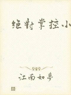 绝对掌控小说
