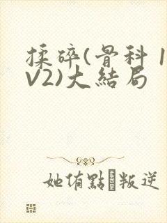 揉碎(骨科 1V2)大结局