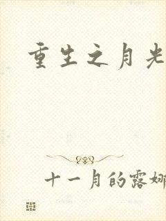 重生之月光少年封面