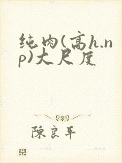 纯肉(高h.np)大尺度