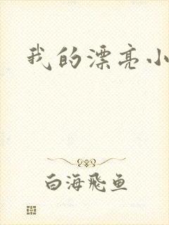 我的漂亮小后妈