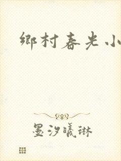 乡村春光小说封面