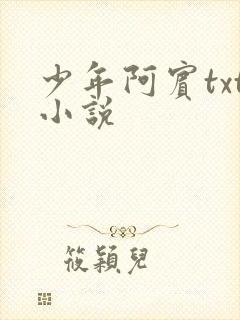 少年阿宾txt小说封面