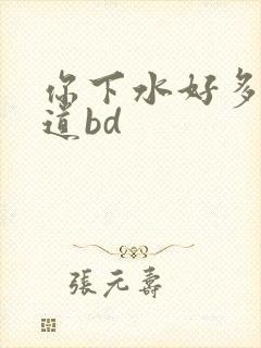 你下水好多下水道bd封面