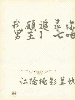 我愿追寻你【双男主】 七吔封面