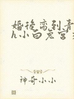 婚后脔到青梅哭h小白兔宫交h