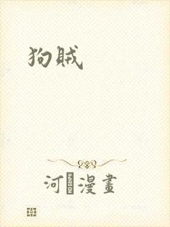 狗贼封面