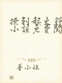 撩到起火舒漾的小说免费阅读全文