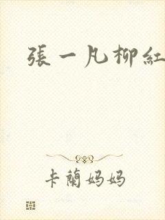 张一凡柳红封面
