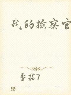 我的检察官先生