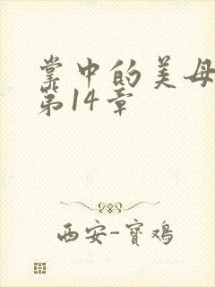 掌中的美母版主第14章