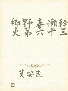 乡野春潮干柴烈火第六十三章