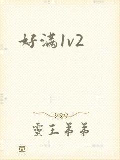 好满1v2