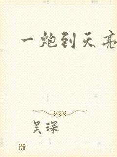 一炮到天亮封面