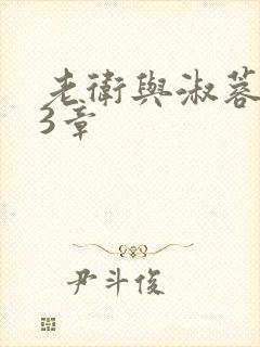 老卫与淑蓉第13章封面