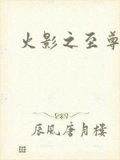 火影之至尊邪帝