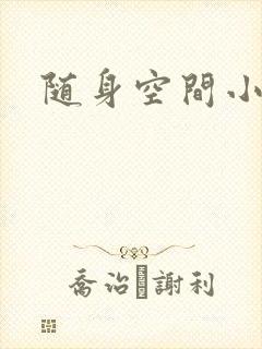 随身空间小说封面