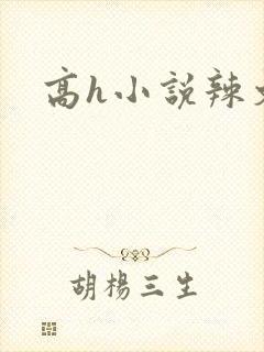 高h小说辣文