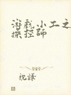 游戏小工之元素操控师封面