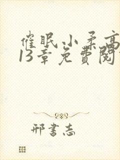 催眠小柔高达第13章免费阅读