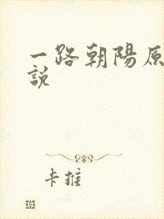 一路朝阳原著小说封面