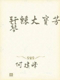 轩辕大宝芳菲雅琴