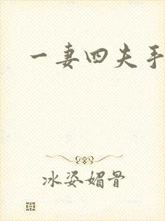 一妻四夫手记