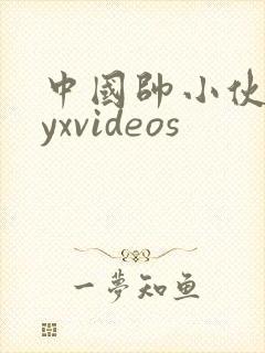 中国帅小伙gayxvideos
