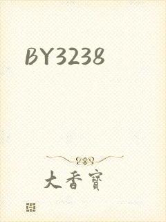 BY3238封面