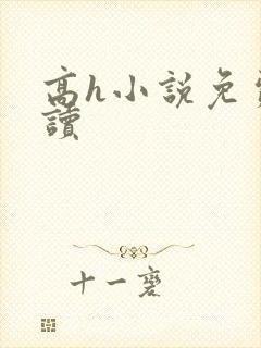 高h小说免费阅读封面