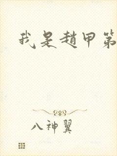 我是赵甲第小说