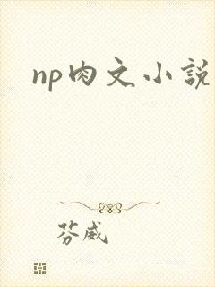 np肉文小说