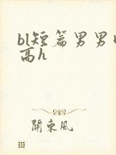 bl短篇男男肉高h封面