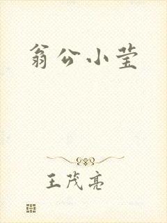 翁公小莹