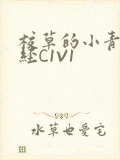 校草的小青梅不经C1V1