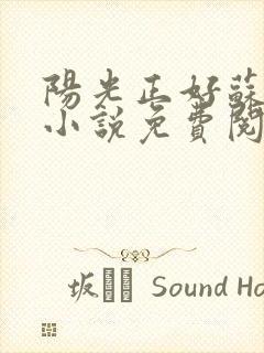 阳光正好苏玥玥小说免费阅读无弹窗