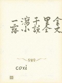 一泻千里金银花露小说全文免费阅读封面