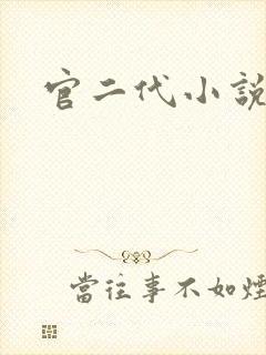 官二代小说封面