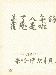 养了八年的金丝雀飞走啦