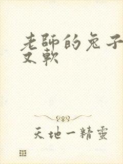 老师的兔子又大又软