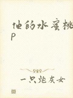 他的水蜜桃pop封面