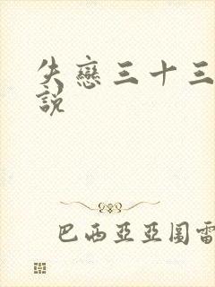 失恋三十三天小说封面