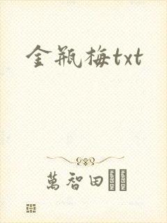 金瓶梅txt