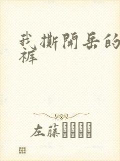 我撕开岳的丁字裤封面