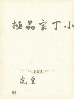 极品家丁小说