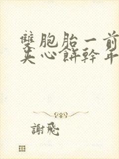 双胞胎一前一后夹心饼干年下封面