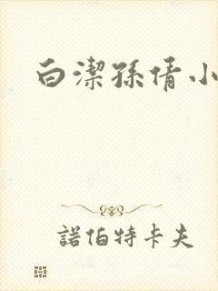 白洁孙倩小说封面