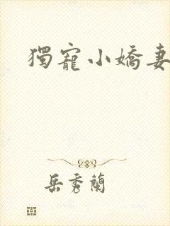 独宠小娇妻封面