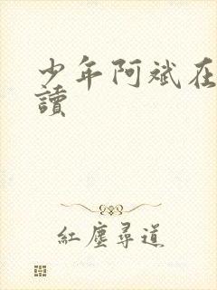少年阿斌在线阅读