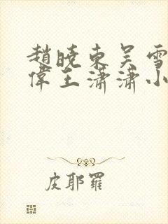 赵晓东吴雪晴郑伟王潇潇小说名字封面